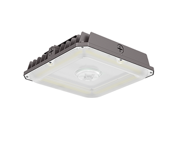LED Canopy Light