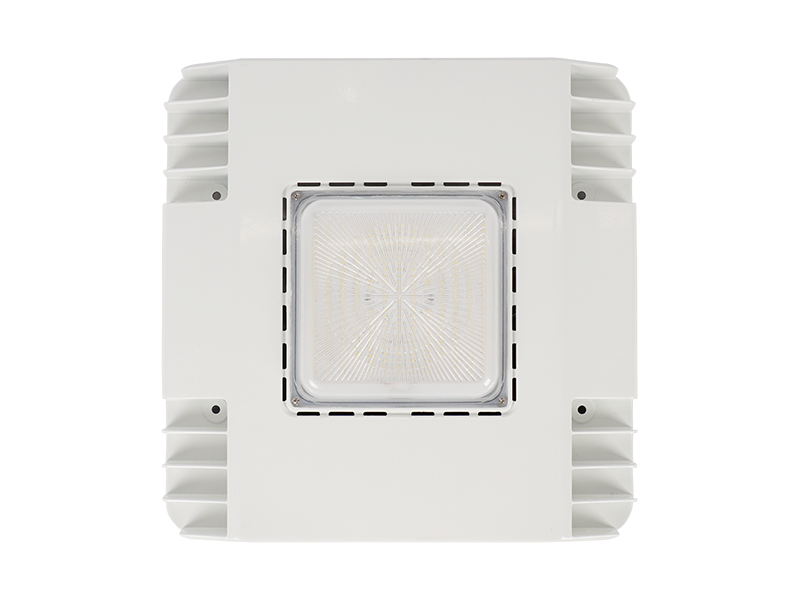 Area Light GKOALG8 Jeelighting