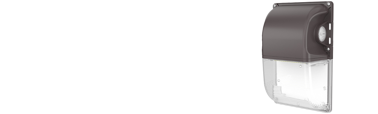 Mini Wall Pack Light WP10